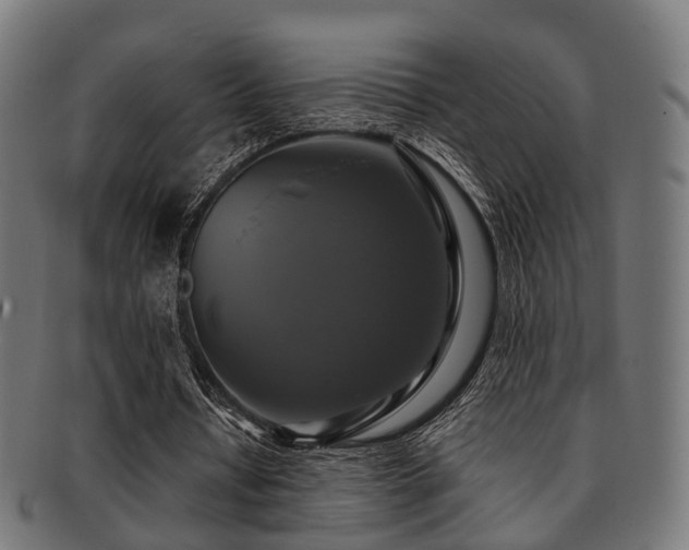 X0000091890434200709051346