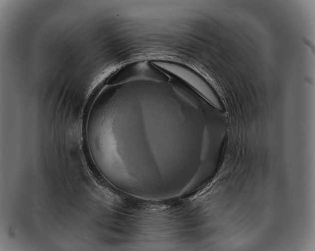 X0000091890438200709051346