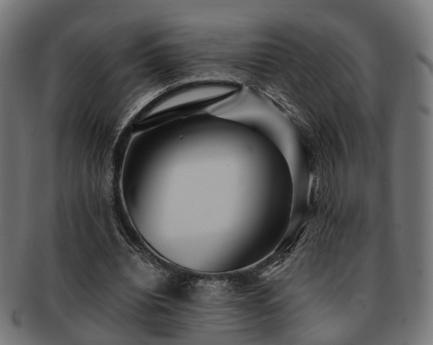 X0000091890440200709051346