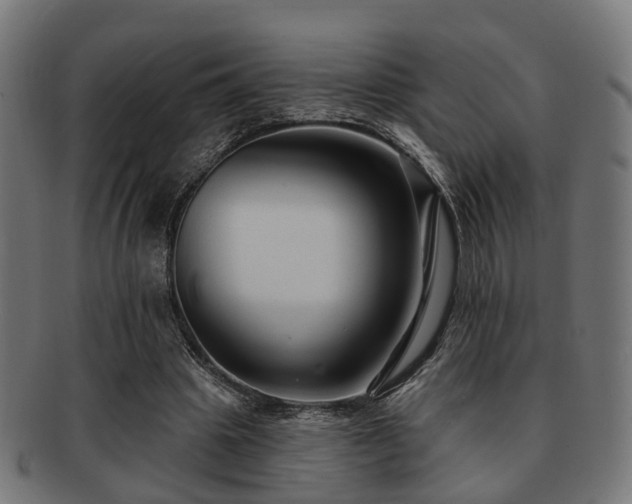 X0000091890441200709051346