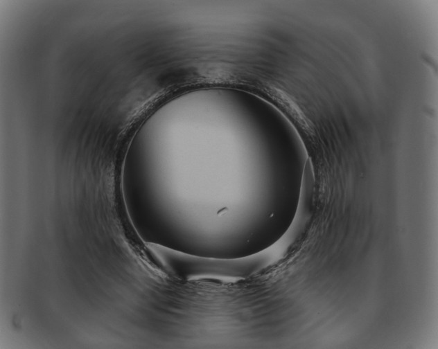 X0000091890442200709051346