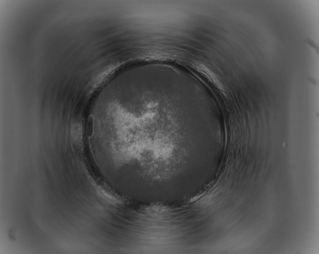X0000091890444200709051346