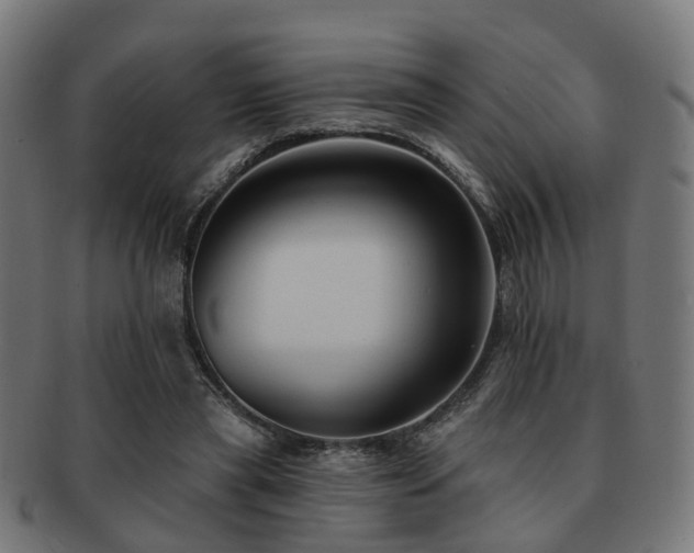 X0000091890445200709051346