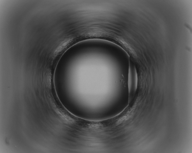 X0000091890446200709051346