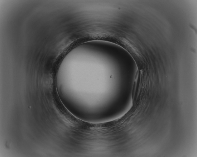 X0000091890448200709051346