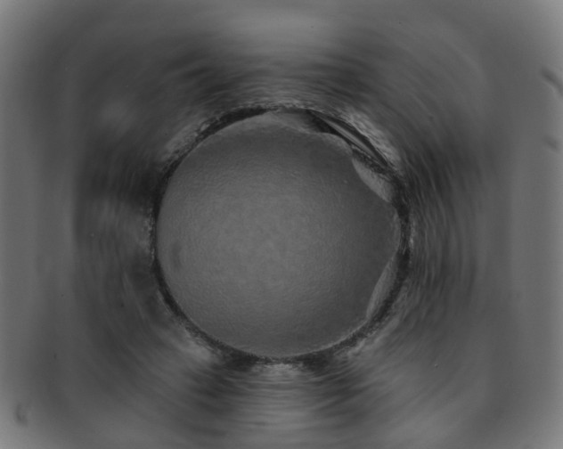 X0000091890449200709051346