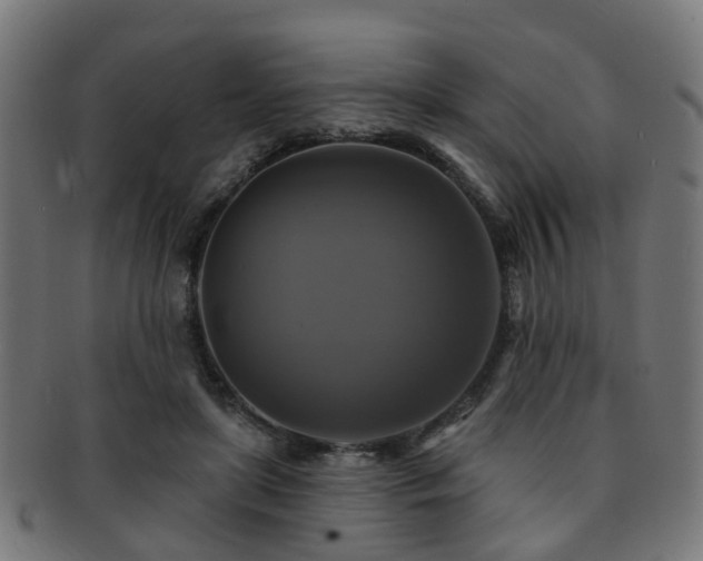 X0000091890451200709051346