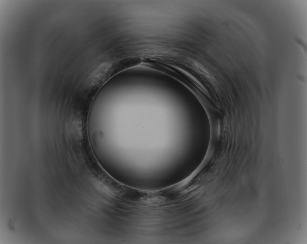 X0000091890452200709051346