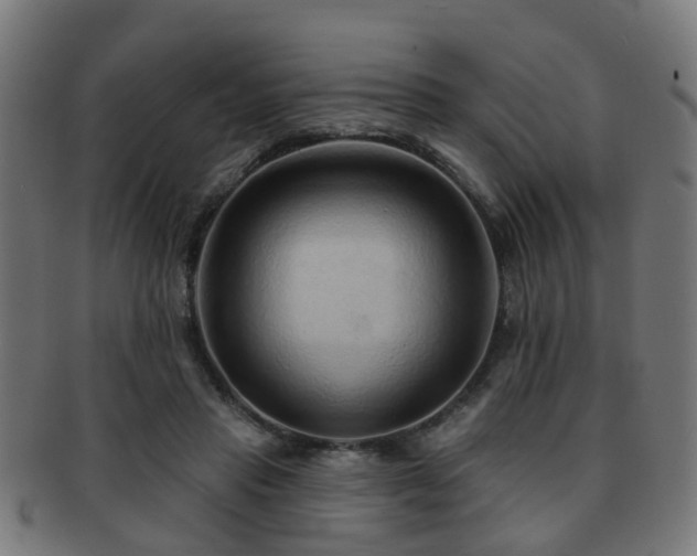 X0000091890453200709051346