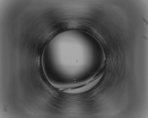 X0000091890454200709051346