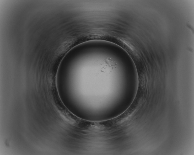 X0000091890455200709051346