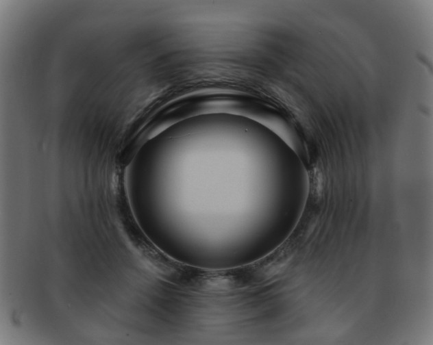 X0000091890456200709051346