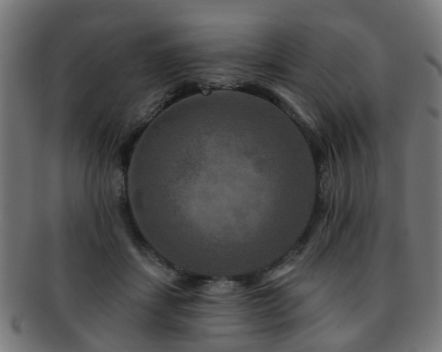 X0000091890459200709051346