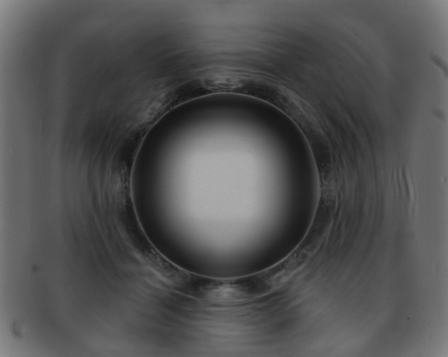 X0000091890460200709051346