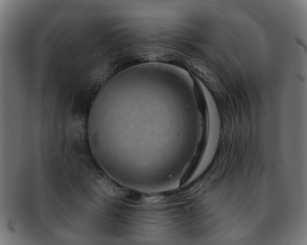 X0000091890461200709051346