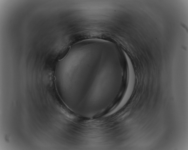 X0000091890462200709051346