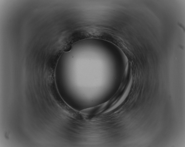 X0000091890464200709051347