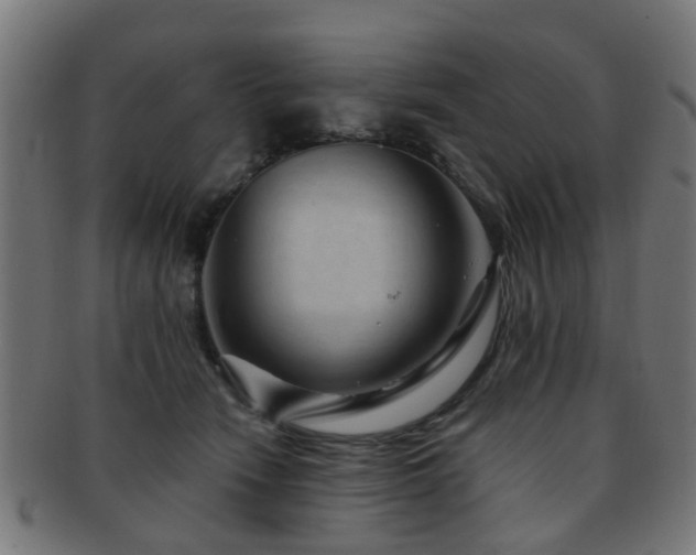X0000091890466200709051347