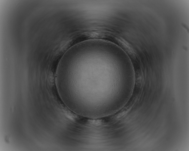 X0000091890469200709051347