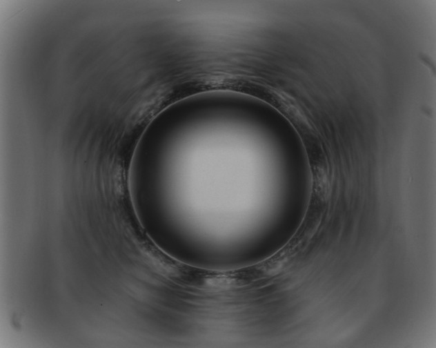 X0000091890470200709051347