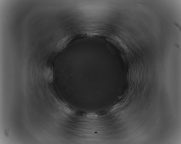 X0000091890471200709051347