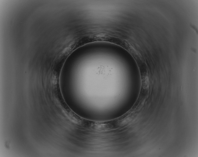 X0000091890472200709051347