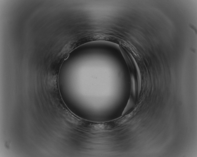 X0000091890473200709051347