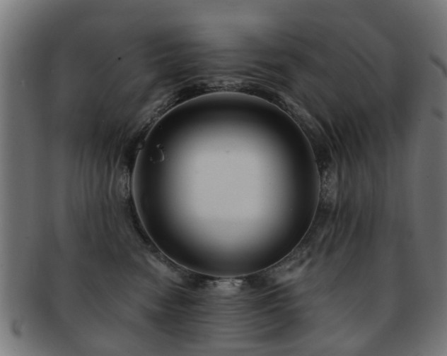 X0000091890474200709051347