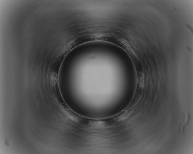 X0000091890476200709051347