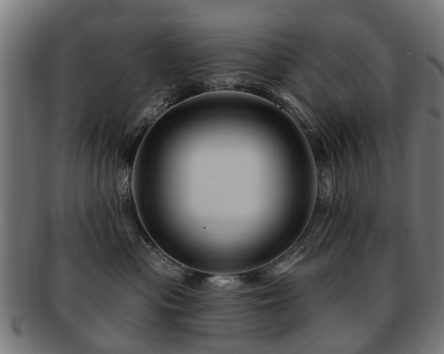X0000091890477200709051347