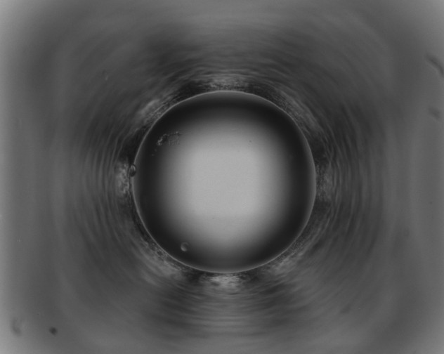 X0000091890478200709051347