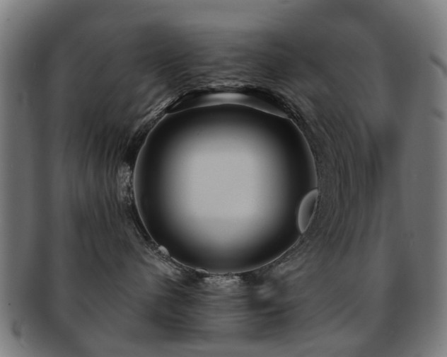 X0000091890480200709051347