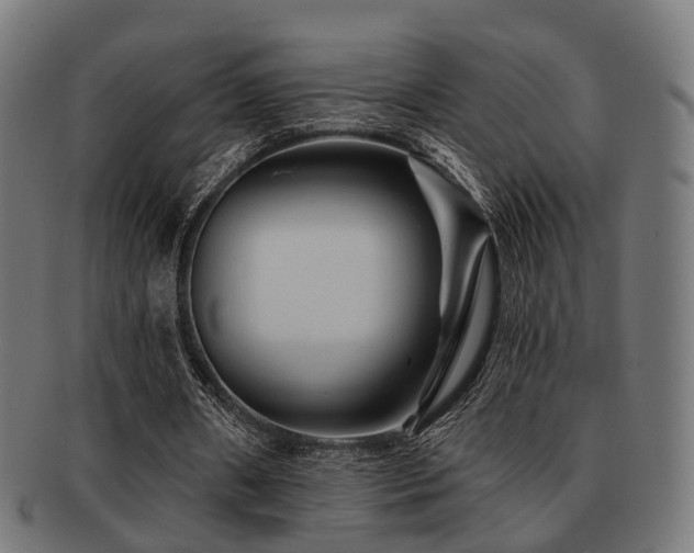 X0000091890482200709051346