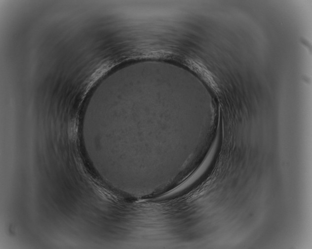 X0000091890483200709051346