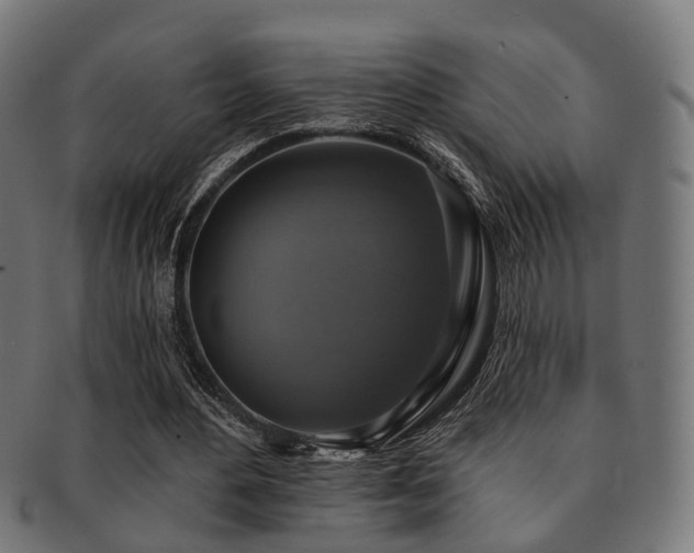 X0000091890484200709051346