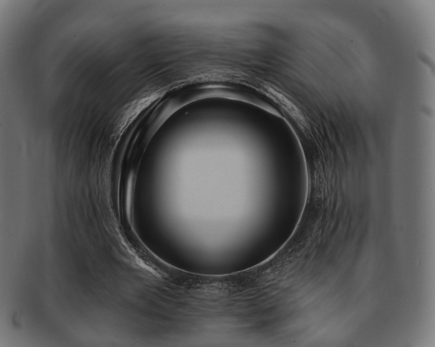 X0000091890485200709051346