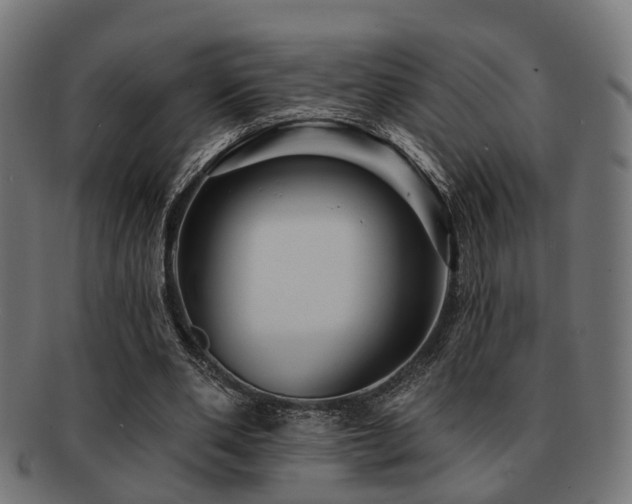 X0000091890486200709051346