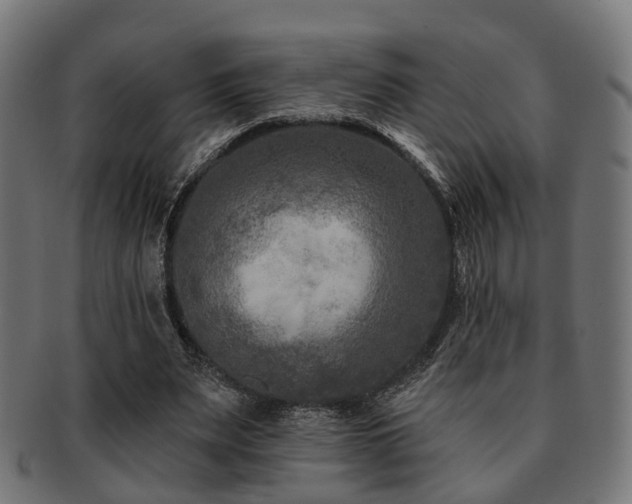 X0000091890487200709051346