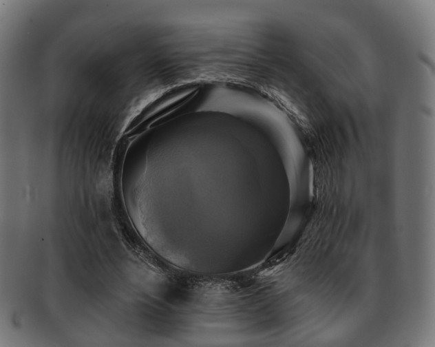 X0000091890488200709051346
