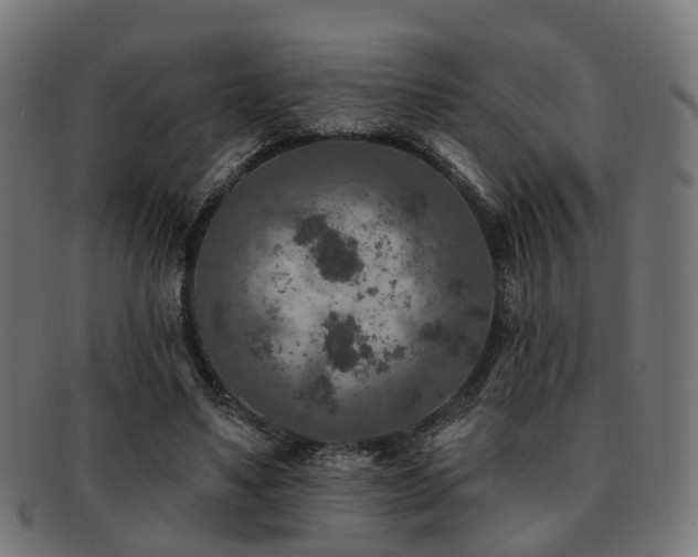 X0000091890491200709051346
