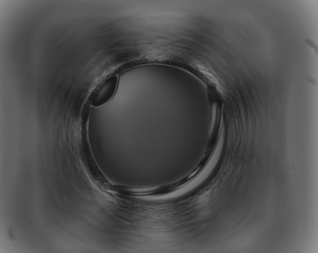 X0000091890492200709051346