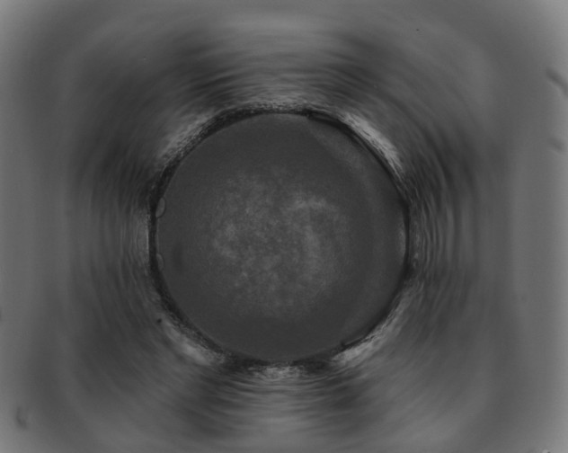 X0000091890493200709051346