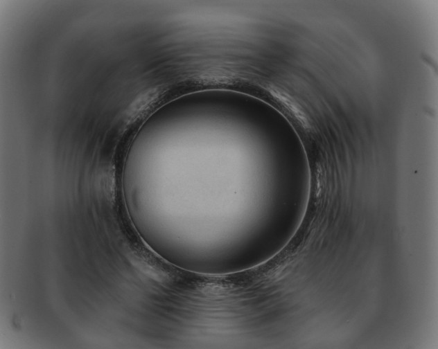 X0000091890494200709051346