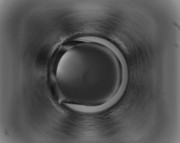 X0000091890496200709051346