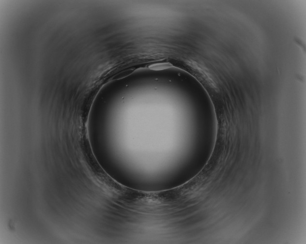 X0000091890498200709051346