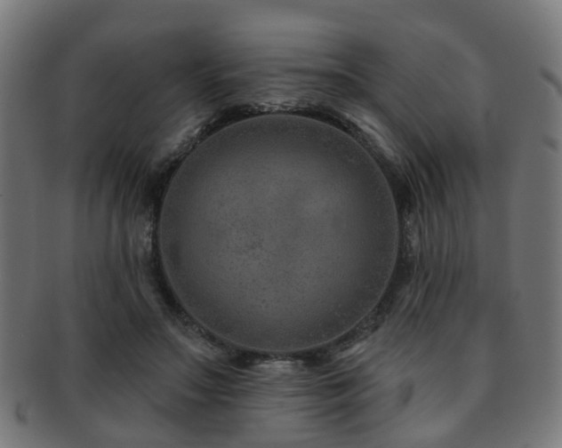 X0000091890499200709051346