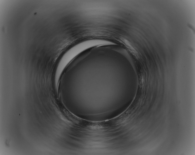 X0000091890500200709051346