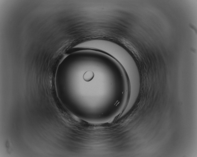 X0000091890501200709051346