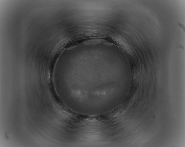X0000091890502200709051346