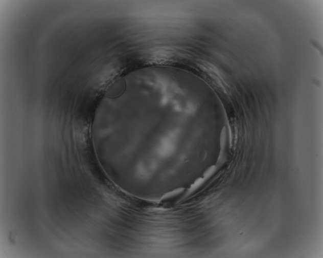X0000091890503200709051346